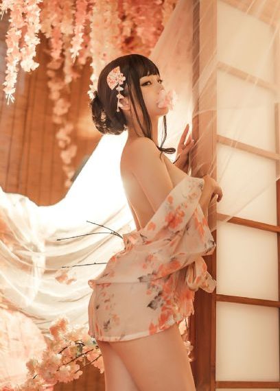 布衣天子 电视剧免费观看