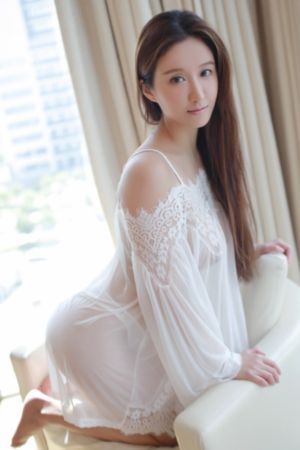 武朝迷案