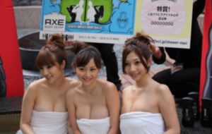 玫瑰之战电视剧免费全集在线观看