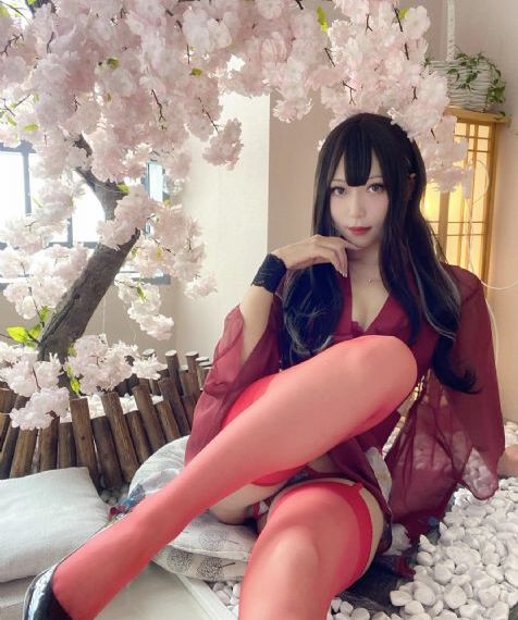赵红兵电视剧24集在线观看