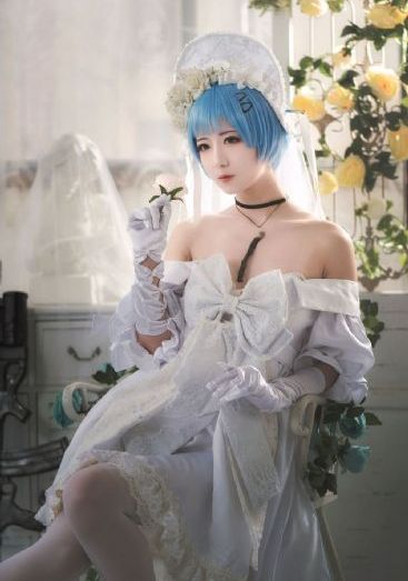 动漫后宫