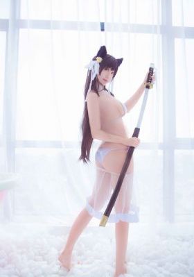 野狼与鸽子