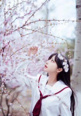 桃花视频免费完整在线