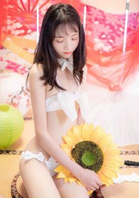 电视剧私藏浪漫